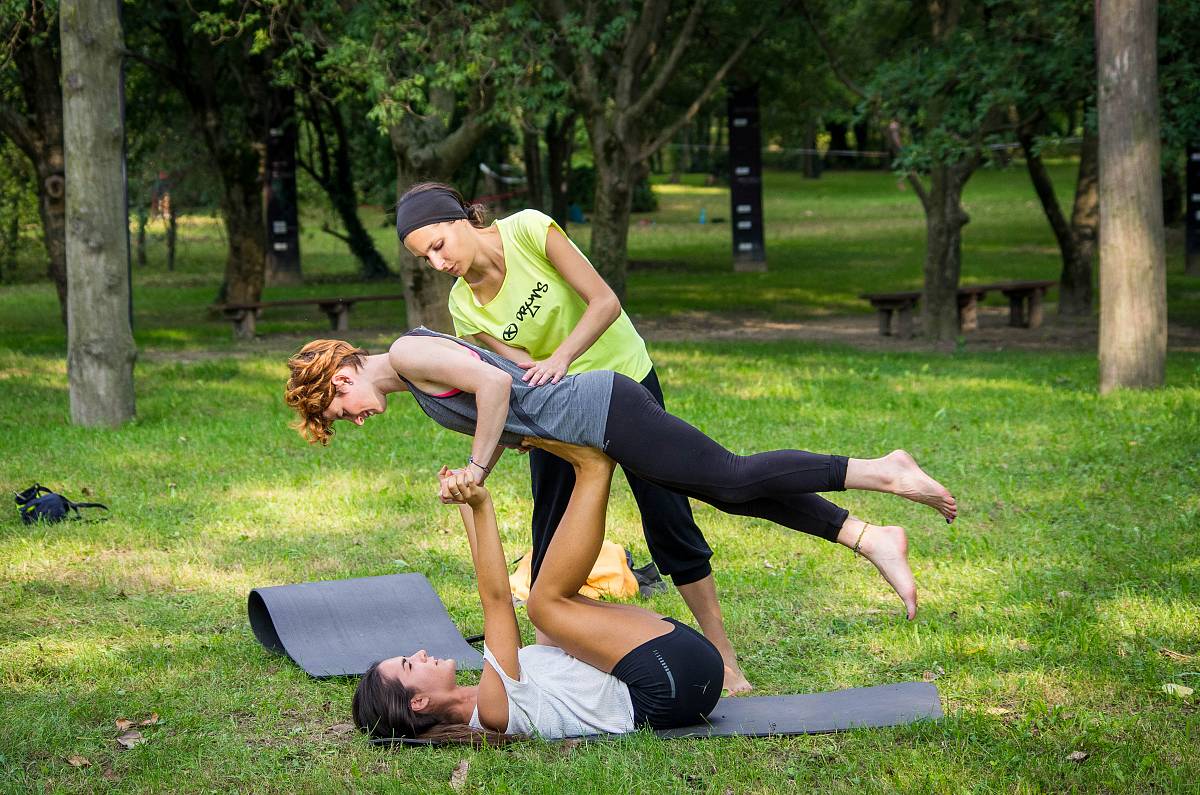 YOGA #73d0d - 00